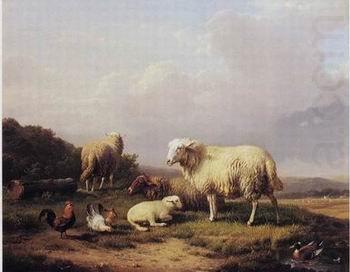 Sheep 172, unknow artist